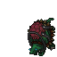Mount